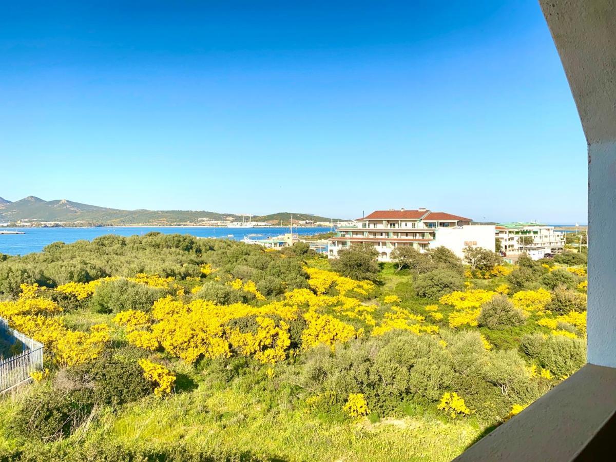 Homey Experience - Navy Sea View Apartments 올비아 외부 사진